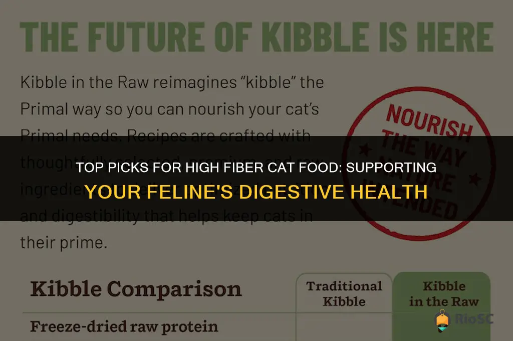 best high fiber cat food