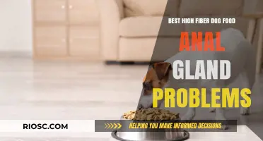 High-Fiber Dog Food Solutions for Managing Anal Gland Problems in Dogs