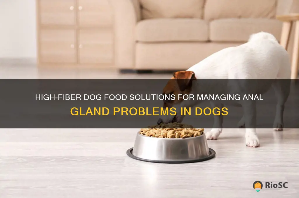 best high fiber dog food anal gland problems