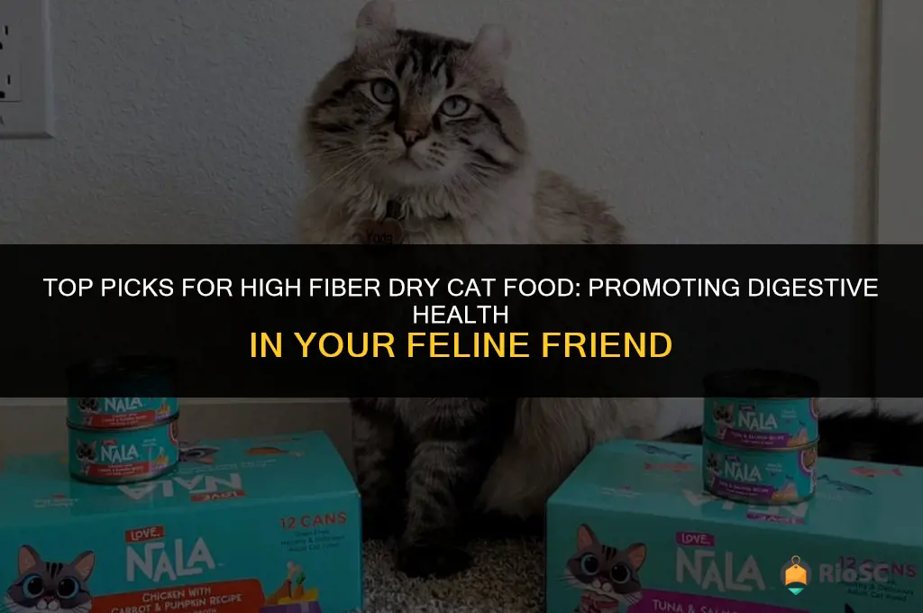 best high fiber dry cat food