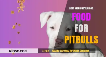 Top High-Protein Dog Food Options to Fuel Your Pitbull's Strength and Energy
