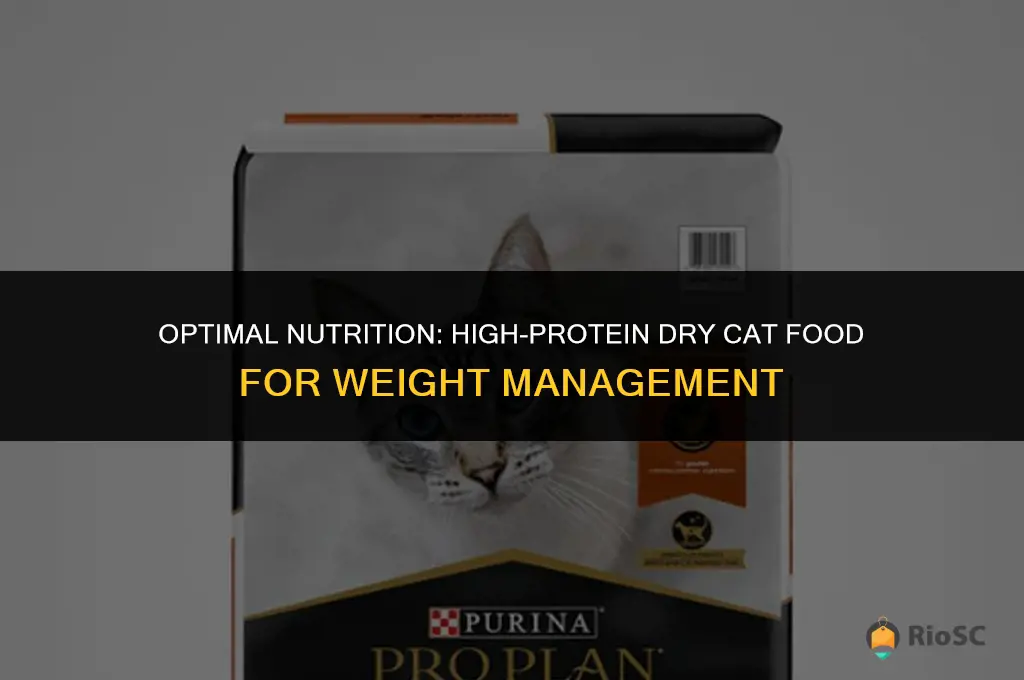 best high protein dry cat food to control weith