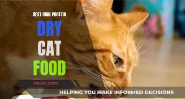 Top Picks for High Protein Dry Cat Food: Fueling Your Feline's Health and Happiness
