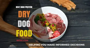 Top High-Protein Dry Dog Foods for Optimal Canine Health and Energy
