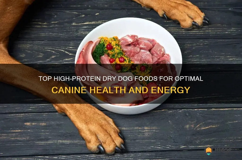 best high protein dry dog food