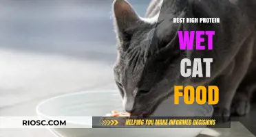 Top Picks for High-Protein Wet Cat Food: Nourishing Your Feline's Health