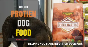 Top High-Protein Dog Foods for Optimal Health and Energy