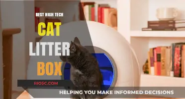 Revolutionary High-Tech Cat Litter Boxes: The Ultimate Solution for Modern Pet Owners