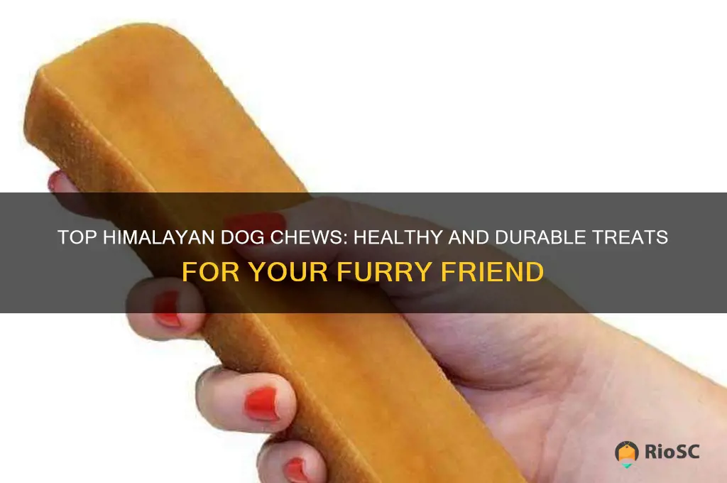 best himalayan dog chews