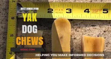 Himalayan Yak Dog Chews: The Ultimate Natural Treat for Your Canine Companion