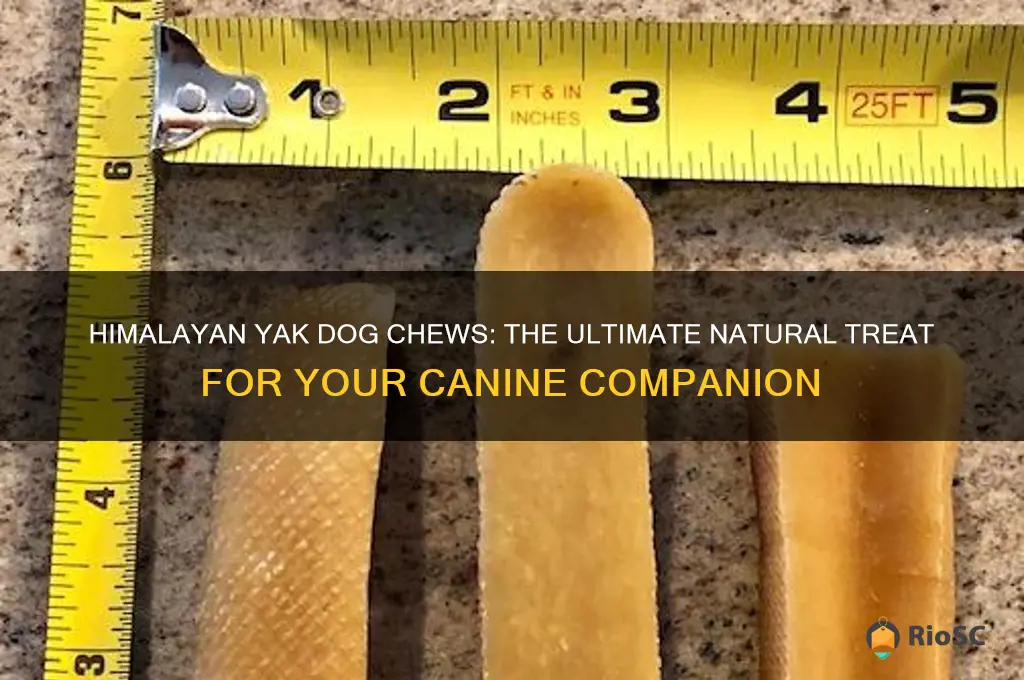 best himalayan yak dog chews