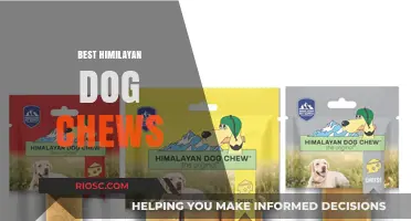 Top Himalayan Dog Chews: Healthy, Durable, and Irresistible Treats for Your Furry Friend