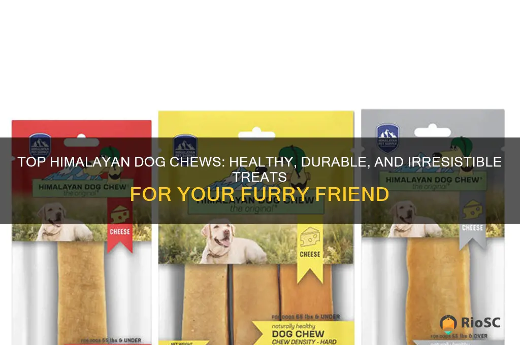 best himilayan dog chews