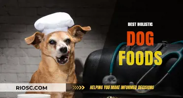 Nourish Your Pup Naturally: Top Holistic Dog Foods for Optimal Health and Vitality
