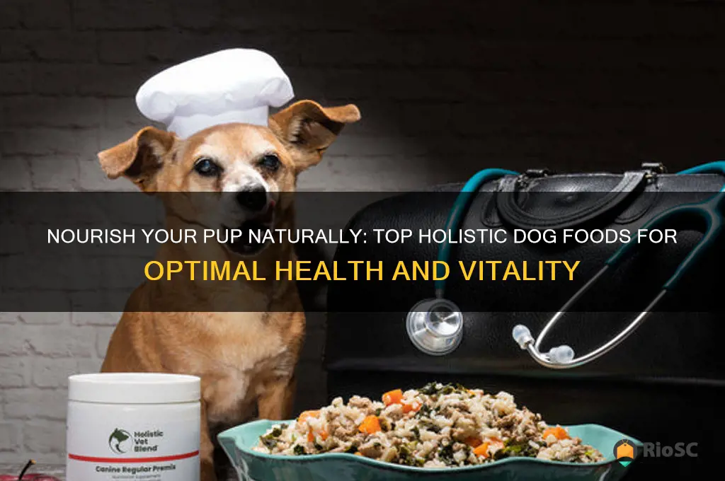 best holistic dog foods