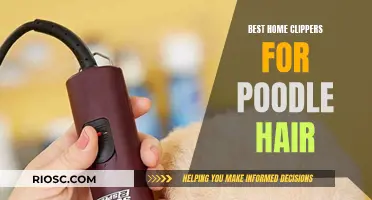 Top Clippers for Poodle Grooming at Home