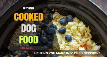 Wholesome Homemade Delights: Crafting the Perfect Dog Food in Your Kitchen
