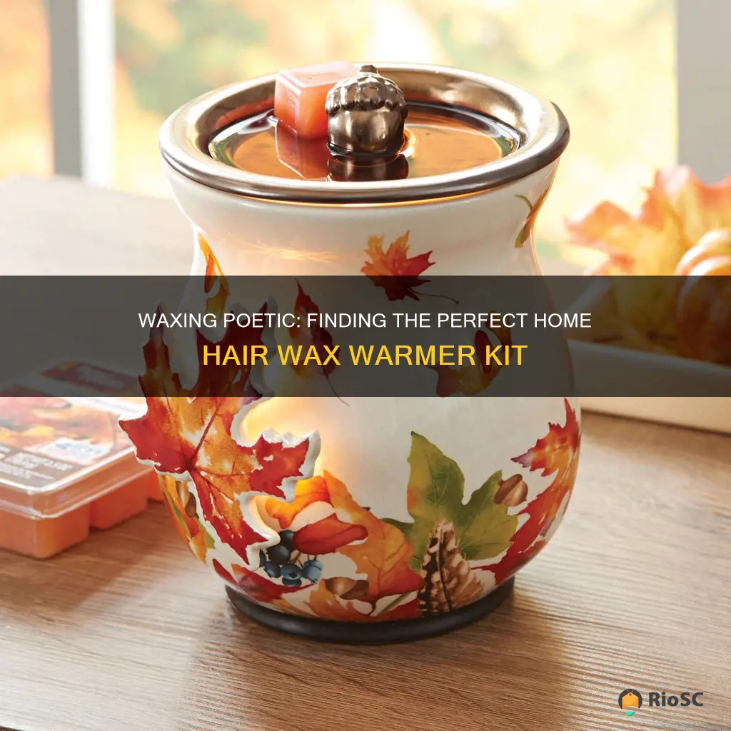 best home hair wax warmer kit