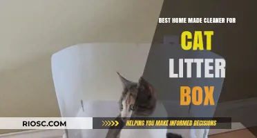 DIY Cat Litter Box Cleaner: Natural, Effective, and Pet-Safe Solutions for a Fresh Home