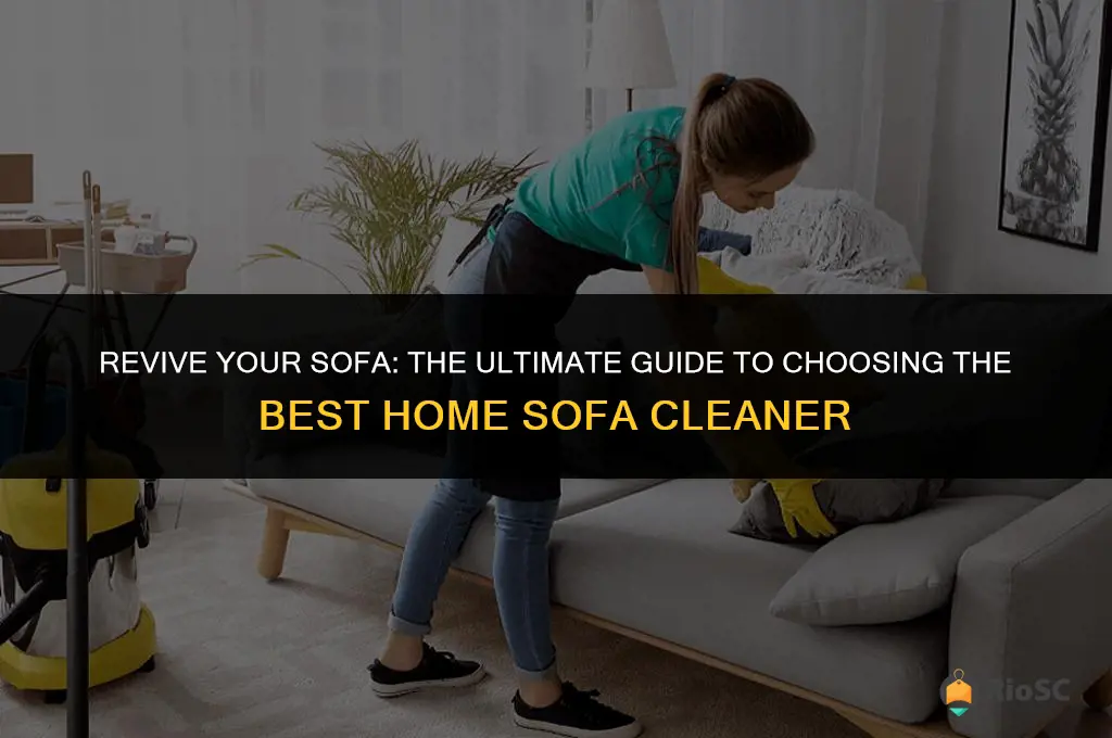 best home sofa cleaner
