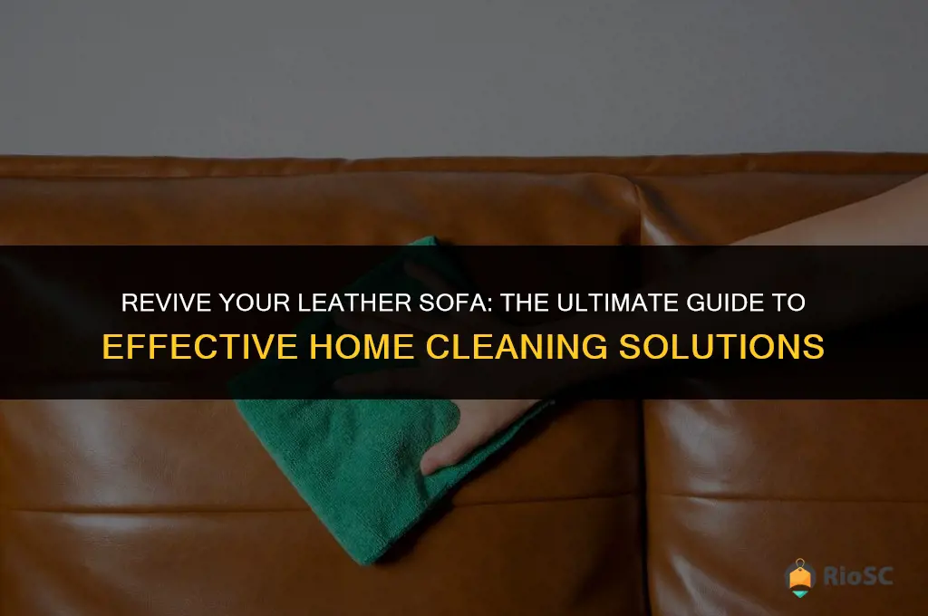 best home solution to clean leather sofa