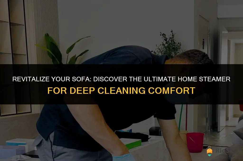 best home steamer to clean sofa