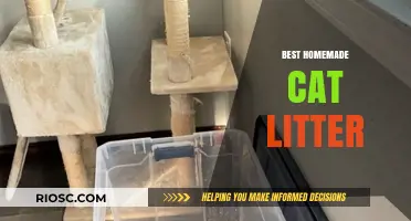 Eco-Friendly and Cost-Effective: Discover the Best Homemade Cat Litter Solutions