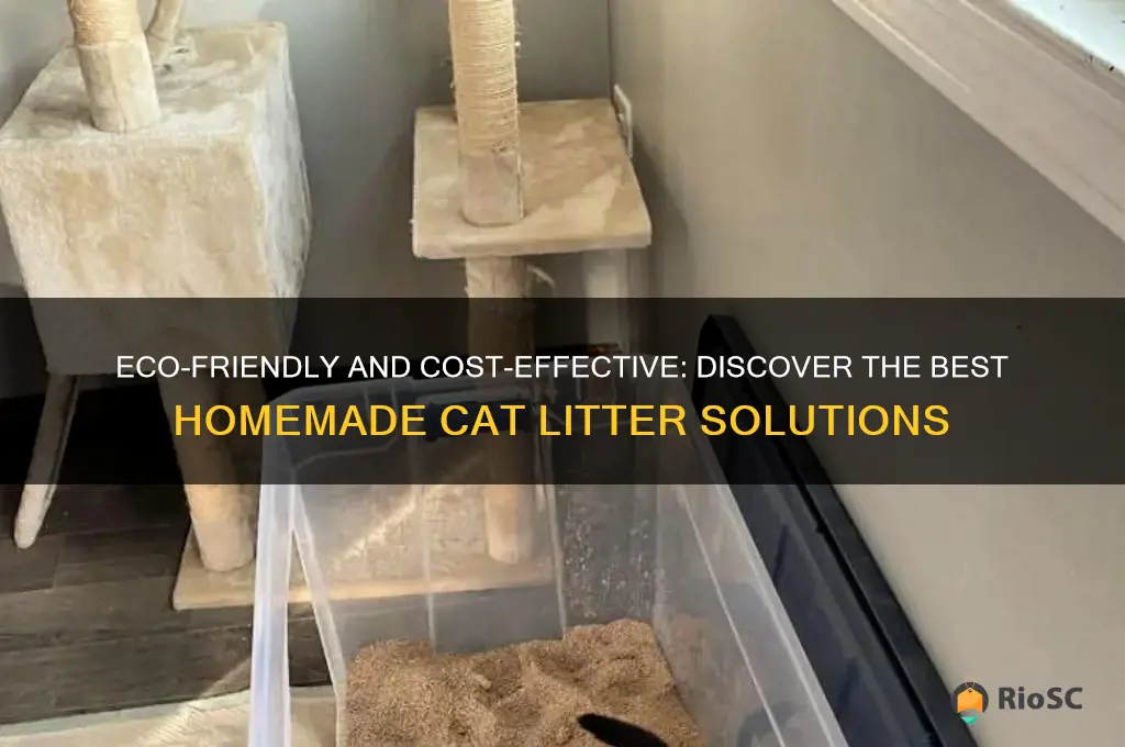 best homemade cat litter