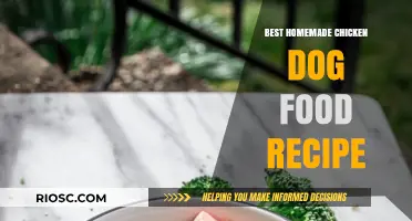 Wholesome Homemade Chicken Dog Food Recipe: A Nutritious Delight for Your Furry Friend
