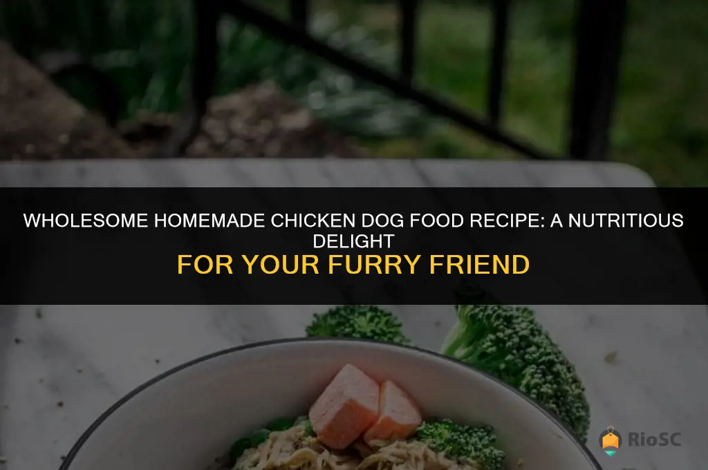 best homemade chicken dog food recipe