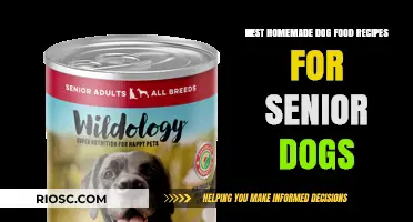 Nutritious and Delicious: Top Homemade Dog Food Recipes Tailored for Senior Dogs