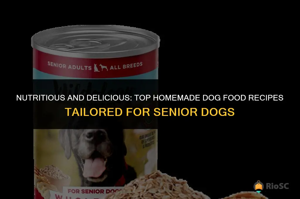 best homemade dog food recipes for senior dogs
