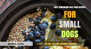 Wholesome Bites: Tailored Homemade Dog Food Recipes for Your Small Canine Companion
