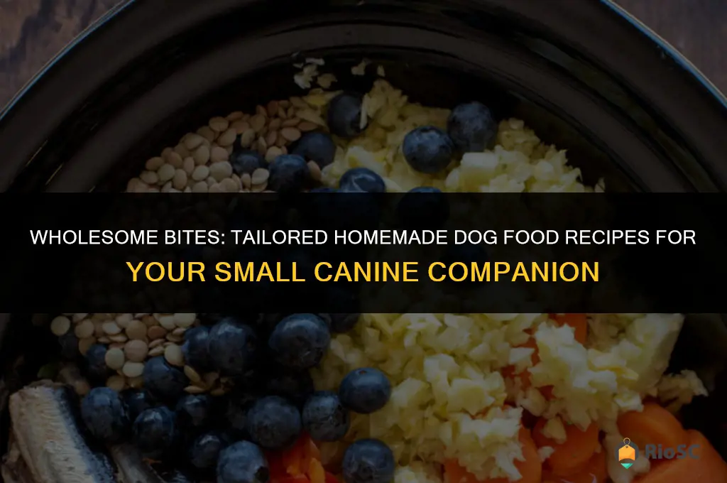 best homemade dog food recipes for small dogs