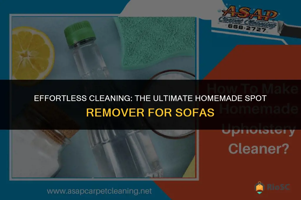 best homemade spot remover for sofas