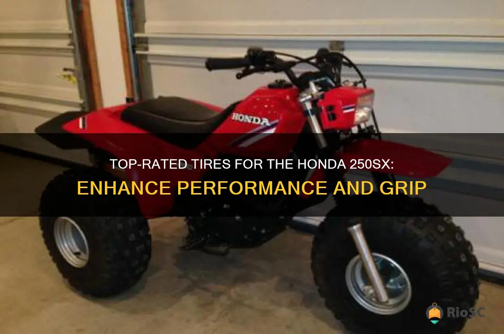 best honda 250sx tires