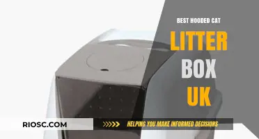Top Hooded Cat Litter Boxes in the UK: Stylish, Functional, and Odour-Free Solutions for Your Feline Friend