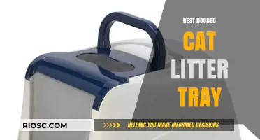 Top Picks for Hooded Cat Litter Trays: Combining Privacy and Odor Control for Your Feline Friend