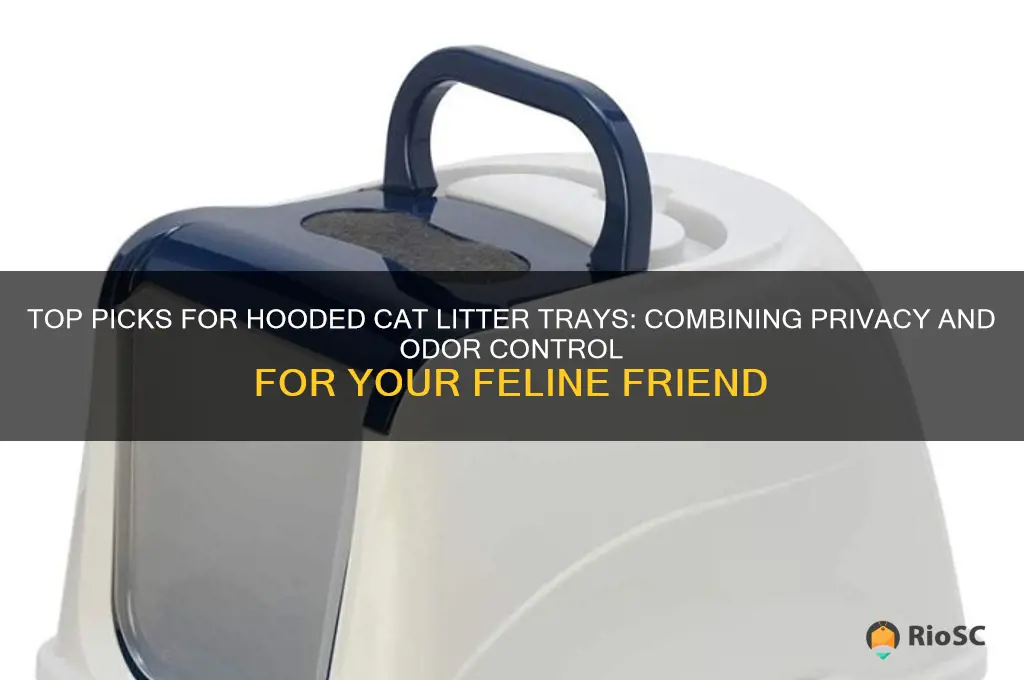 best hooded cat litter tray