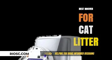 Top-Rated Vacuums for Cat Litter: Keep Your Home Clean and Fur-Free