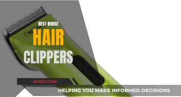 Horse Hair Clippers: Finding the Best Tools for the Job