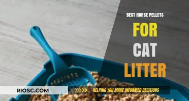 Eco-Friendly Horse Pellets: A Surprising Top Choice for Cat Litter Alternatives