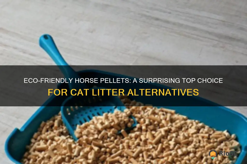 best horse pellets for cat litter