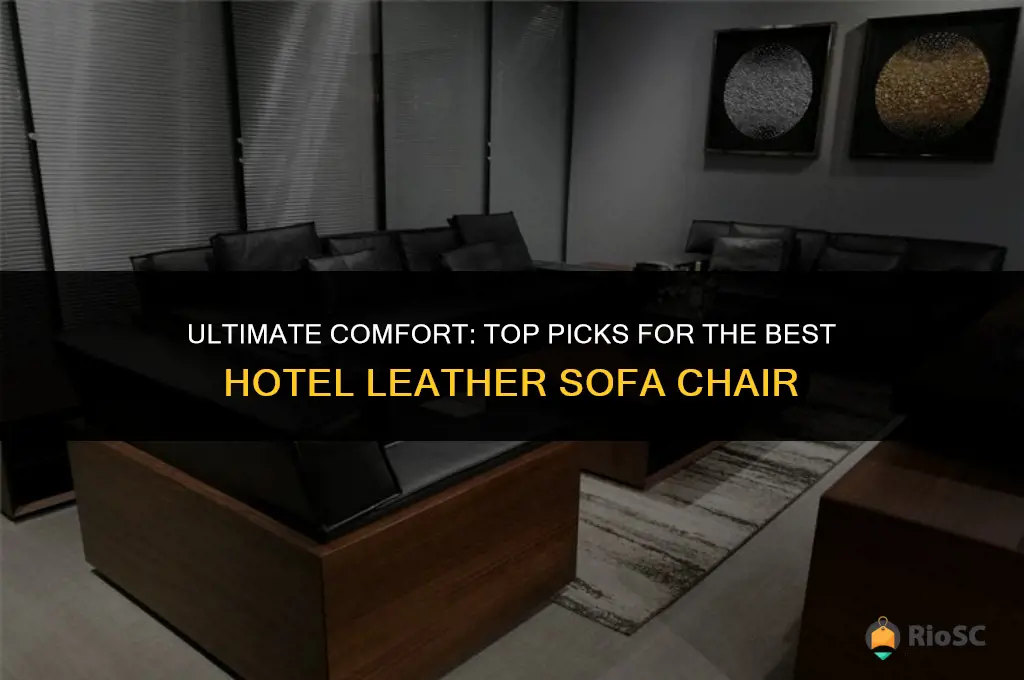 best hotel leather sofa chair