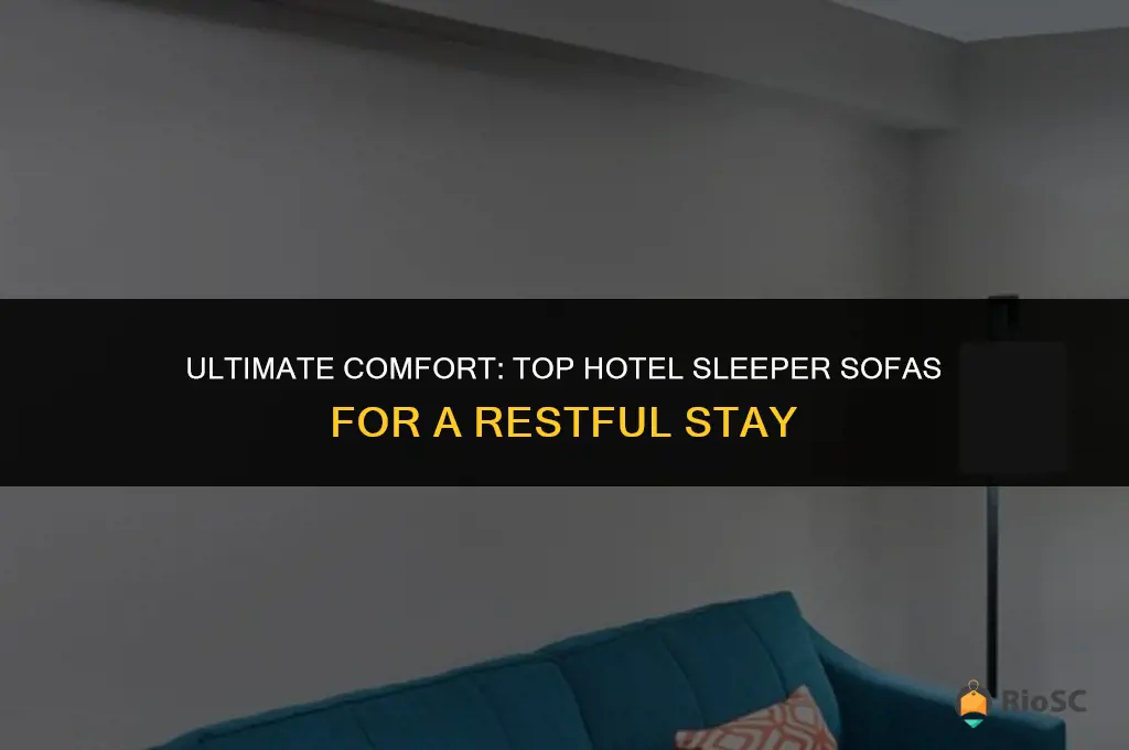 best hotel sleeper sofa