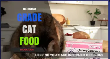 Top-Rated Human-Grade Cat Food: A Comprehensive Guide for Feline Nutrition