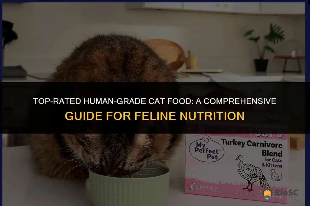 best human grade cat food