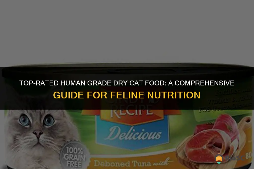 best human grade dry cat food