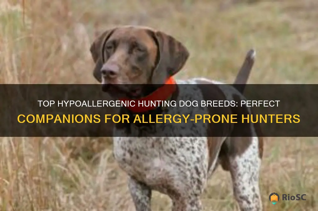 best hunting allergen dog