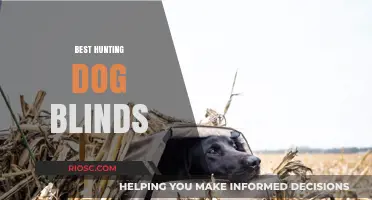Top Hunting Dog Blinds for Ultimate Concealment and Comfort in the Field